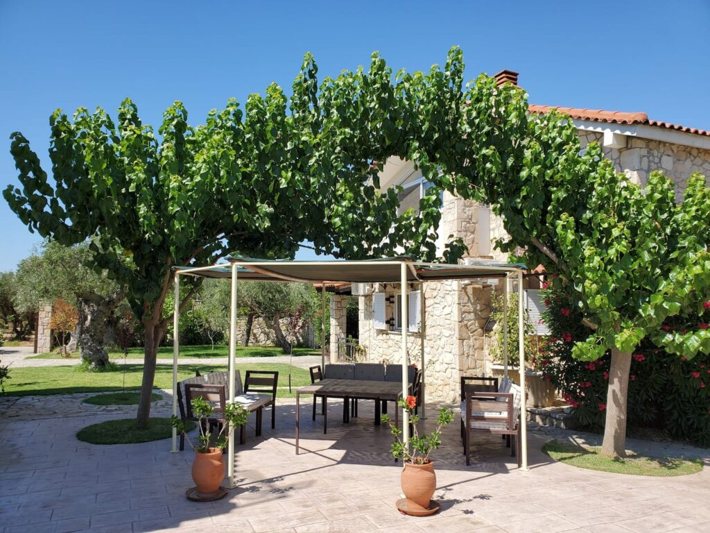 The house under the vine pergola